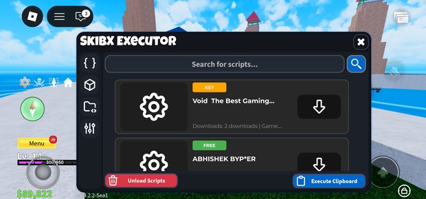 Skibx Executor Dashboard